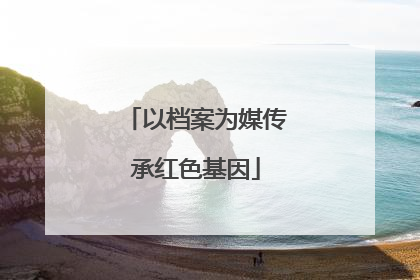 以档案为媒传承红色基因