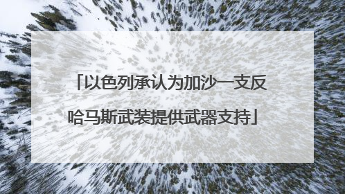 以色列承认为加沙一支反哈马斯武装提供武器支持