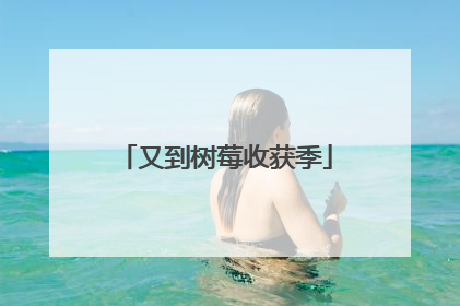 又到树莓收获季