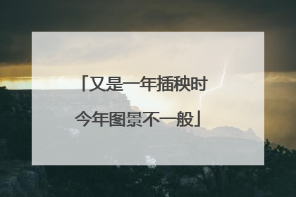 又是一年插秧时 今年图景不一般