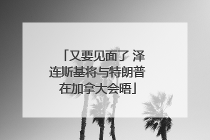 又要见面了 泽连斯基将与特朗普在加拿大会晤