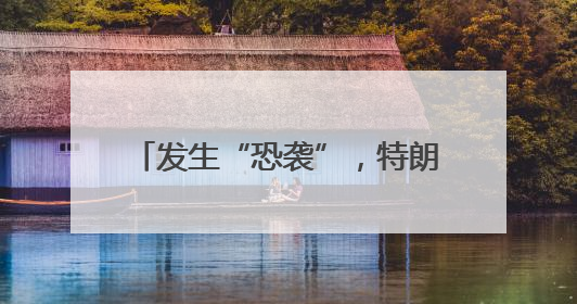 发生“恐袭”，特朗普：美国绝不容忍