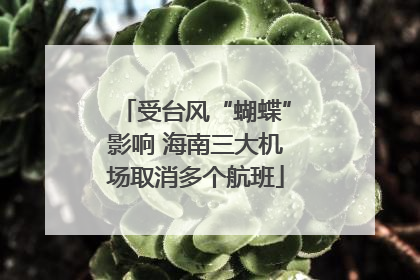 受台风“蝴蝶”影响 海南三大机场取消多个航班