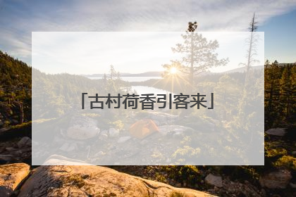 古村荷香引客来
