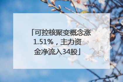可控核聚变概念涨1.51%，主力资金净流入34股