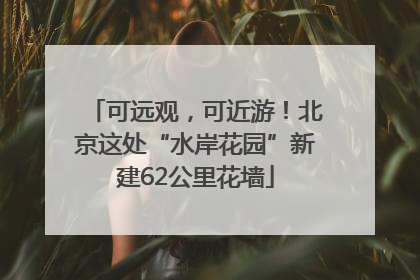 可远观，可近游！北京这处“水岸花园”新建62公里花墙