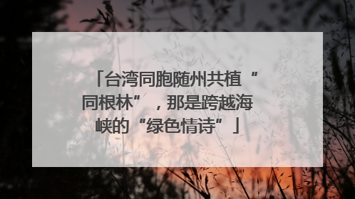 台湾同胞随州共植“同根林”，那是跨越海峡的“绿色情诗”