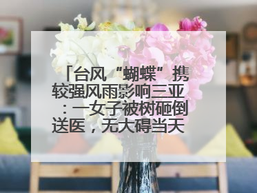 台风“蝴蝶”携较强风雨影响三亚：一女子被树砸倒送医，无大碍当天回家 当地已紧急清障