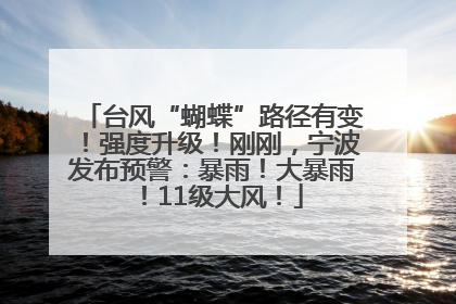 台风“蝴蝶”路径有变！强度升级！刚刚，宁波发布预警：暴雨！大暴雨！11级大风！