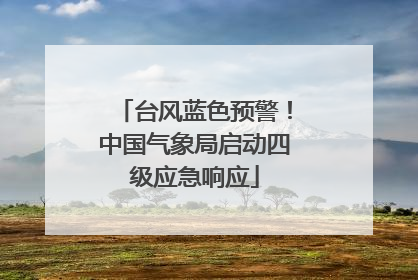 台风蓝色预警！中国气象局启动四级应急响应