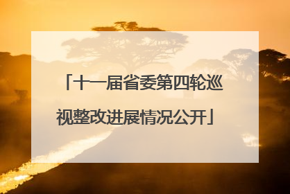 十一届省委第四轮巡视整改进展情况公开