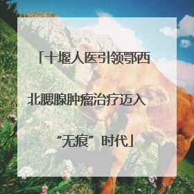 十堰人医引领鄂西北腮腺肿瘤治疗迈入“无痕”时代