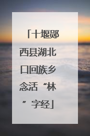 十堰郧西县湖北口回族乡念活“林”字经