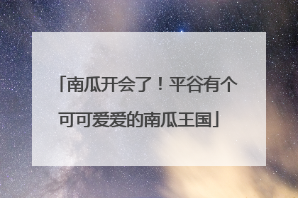 南瓜开会了！平谷有个可可爱爱的南瓜王国