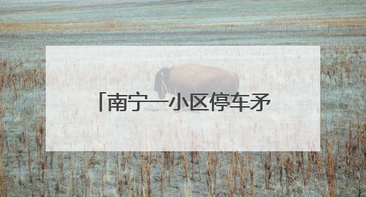 南宁一小区停车矛盾升级，物管报警18次都无法解决