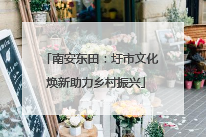 南安东田：圩市文化焕新助力乡村振兴