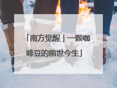 南方觉醒｜一颗咖啡豆的前世今生