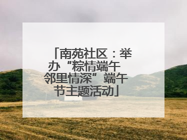 南苑社区：举办“粽情端午 邻里情深”端午节主题活动
