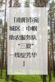 南阳市宛城区：巾帼助农服务队 “三夏”一线绽芳华