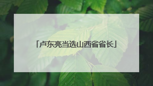 卢东亮当选山西省省长