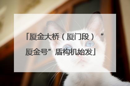 厦金大桥（厦门段）“厦金号”盾构机始发