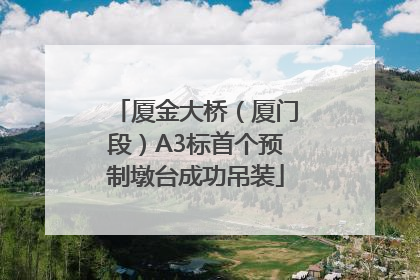 厦金大桥（厦门段）A3标首个预制墩台成功吊装