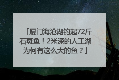 厦门海沧湖钓起72斤石斑鱼！2米深的人工湖为何有这么大的鱼？