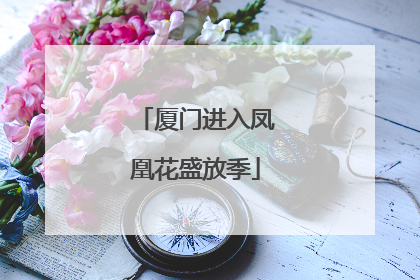 厦门进入凤凰花盛放季