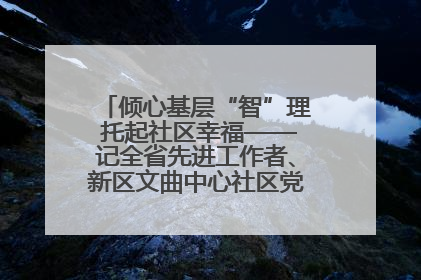 倾心基层“智”理 托起社区幸福——记全省先进工作者、新区文曲中心社区党委书记董世弘