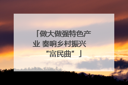 做大做强特色产业 奏响乡村振兴“富民曲”