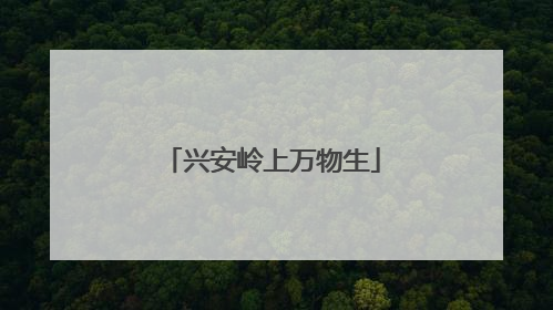 兴安岭上万物生