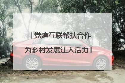 党建互联帮扶合作 为乡村发展注入活力