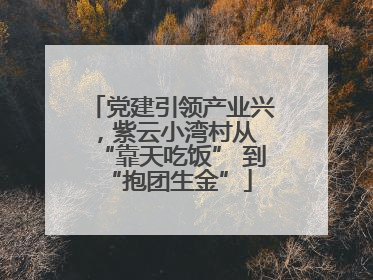 党建引领产业兴，紫云小湾村从 “靠天吃饭” 到 “抱团生金”
