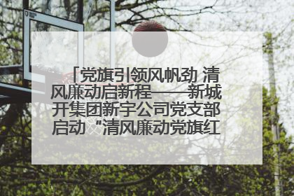 党旗引领风帆劲 清风廉动启新程——新城开集团新宇公司党支部启动“清风廉动党旗红”系列活动