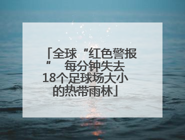 全球“红色警报”  每分钟失去18个足球场大小的热带雨林