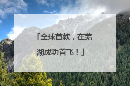 全球首款，在芜湖成功首飞！