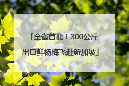 全省首批！300公斤出口鲜杨梅飞赴新加坡