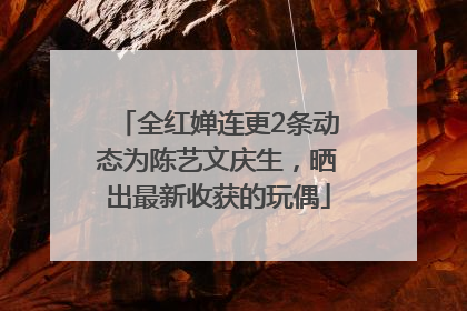 全红婵连更2条动态为陈艺文庆生，晒出最新收获的玩偶