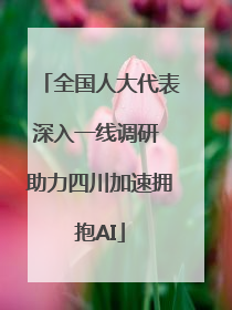 全国人大代表深入一线调研 助力四川加速拥抱AI