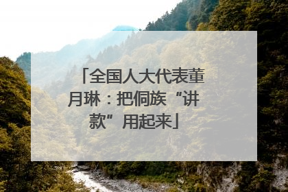全国人大代表董月琳：把侗族“讲款”用起来