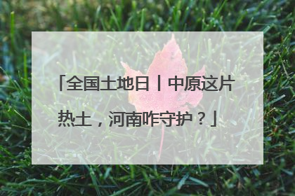 全国土地日丨中原这片热土，河南咋守护？