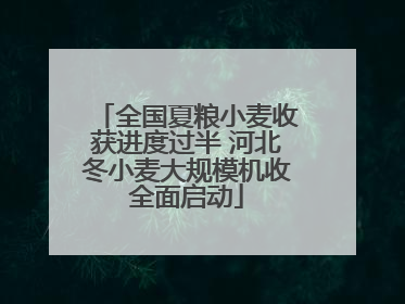 全国夏粮小麦收获进度过半 河北冬小麦大规模机收全面启动