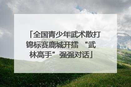 全国青少年武术散打锦标赛鹿城开擂 “武林高手”强强对话