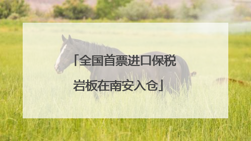 全国首票进口保税岩板在南安入仓
