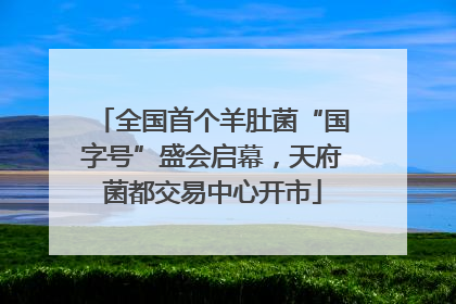 全国首个羊肚菌“国字号”盛会启幕，天府菌都交易中心开市