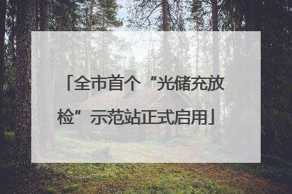 全市首个“光储充放检”示范站正式启用