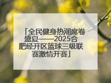 全民健身热潮席卷盛夏——2025合肥经开区篮球三级联赛激情开赛