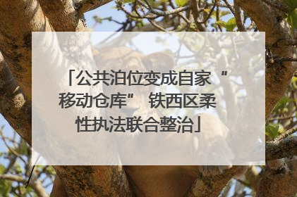 公共泊位变成自家“移动仓库” 铁西区柔性执法联合整治