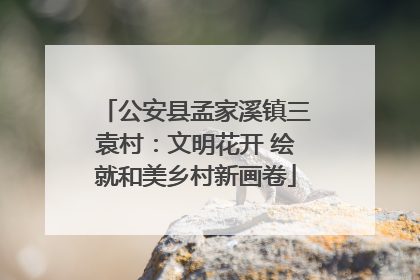 公安县孟家溪镇三袁村：文明花开 绘就和美乡村新画卷