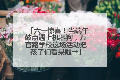 六一惊喜！当端午鼓点遇上机器狗，万官路学校这场活动把孩子们看呆啦→